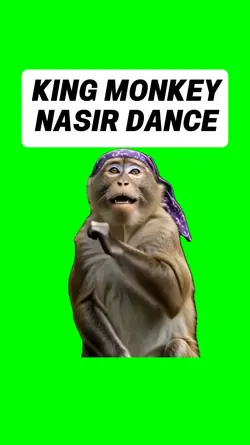 KING MONKEY NASIR
