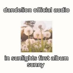 dandelion up