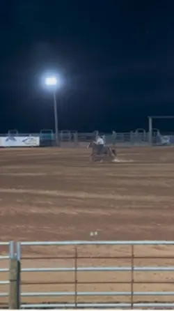 Rodeo highlights