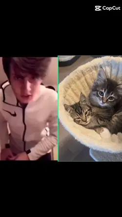 My kittens!!!