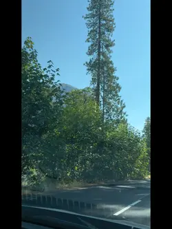 TRIPYOSEMITE