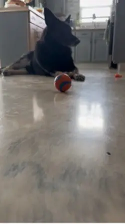 👀