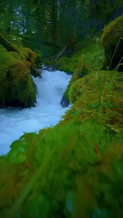Nature vibes