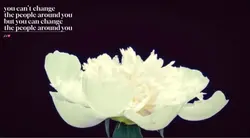 Just a pretty flower