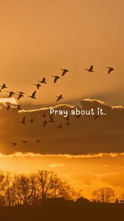 Choose gratitude