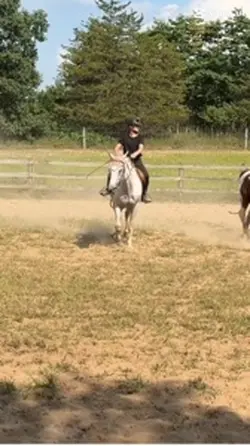 Sitting her trot