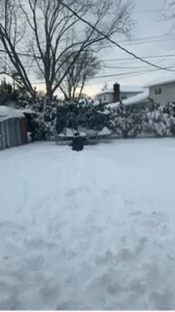 Cold weather