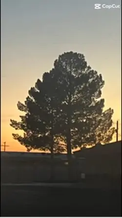 Try this on any Sky