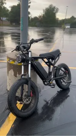 Rainy