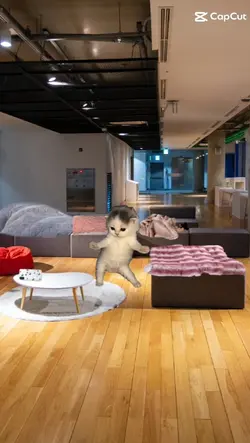 ℎ𝑎ℎ𝑎ℎ𝑎
