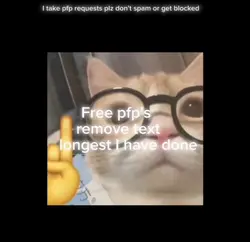 FREE PFPS 