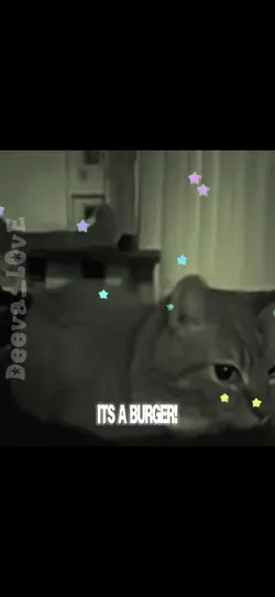 ITS A BURGER!!