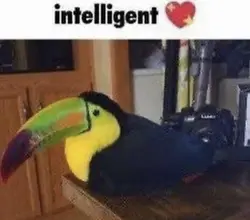 intelligent
