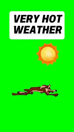 VERY HOT WEATHER