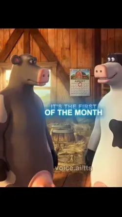 august 1st