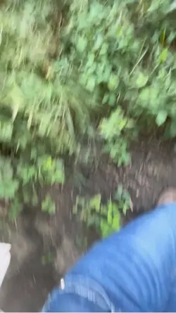 Country