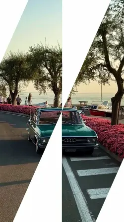 5 video or photo