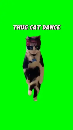 THUG CAT DANCING