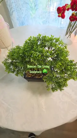 mini bonsai decor