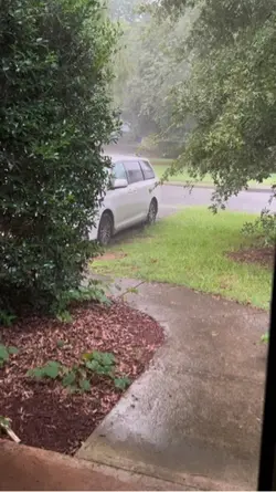 Rain