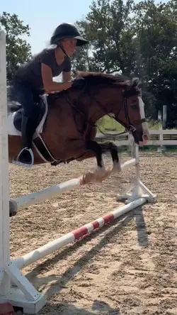 pony finals on abu!