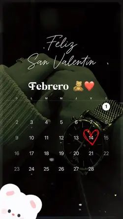 Un amor de febrero 