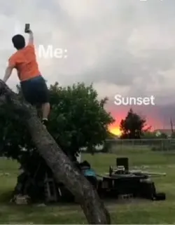 Sunsets