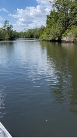 Out on the water