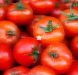 tomato