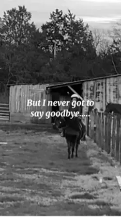 But I never got to