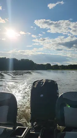 River Life