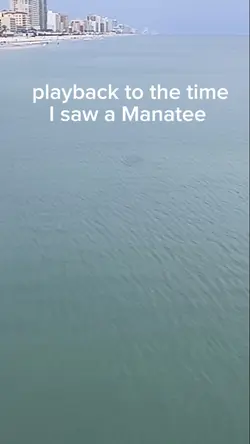 Daytona FL