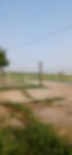 rancho michigan 