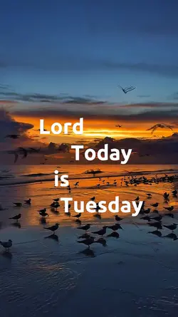 TODAY TUESDAY LORD