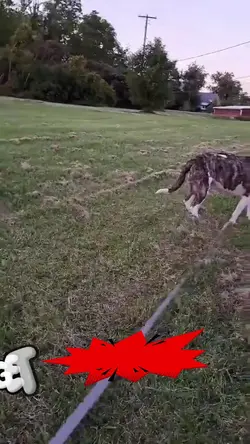 Finish her!