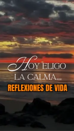 Reflexion del dia 🕊️