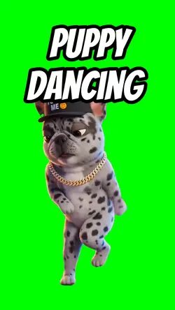Puppy dancing 