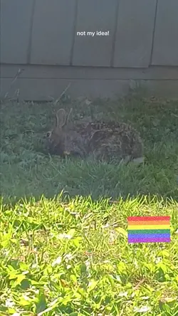 PRIDE