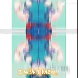 deku and t13 edit