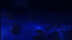 Logo Intro
