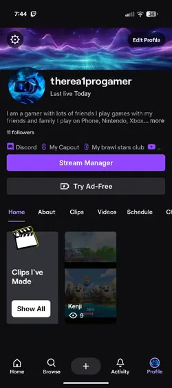 Twitch streamer