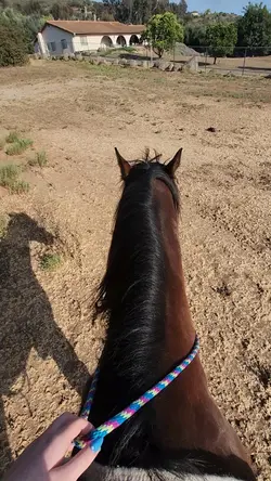 im a...... cowboy..?