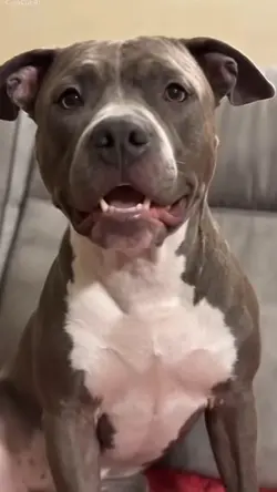 新增 9 個片段