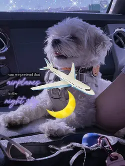 airplanes in the sky