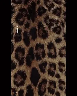 Song