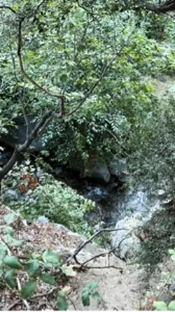Hiking mini vlog