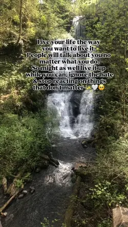 Live your life