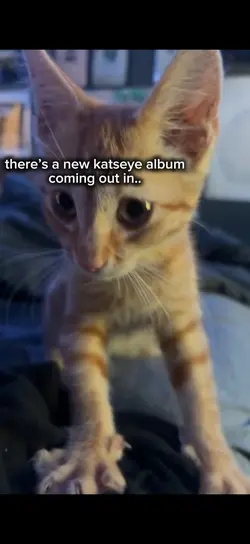 IM SO EXCITED!!!!