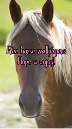 Horse backgrounds 