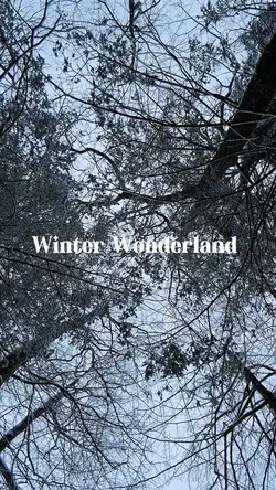 Winter Wonderland